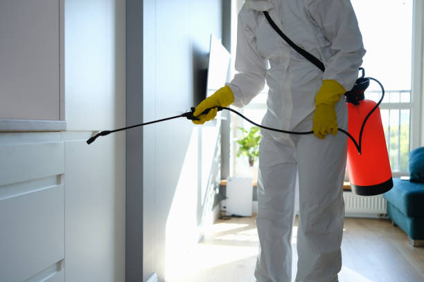 Best Local Mold Removal Service  in Fairwood, WA