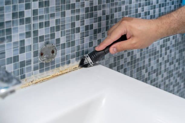 Best Mold Testing  in Fairwood, WA