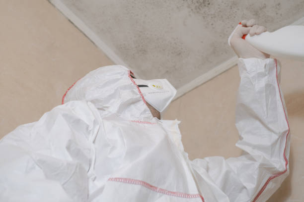 Best Commercial Mold Removal  in Fairwood, WA