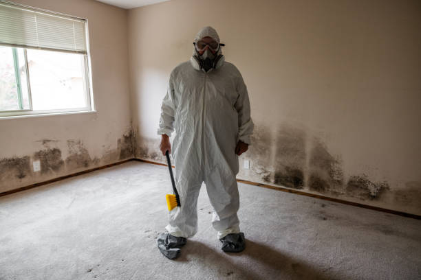 Best Emergency Mold Removal  in Fairwood, WA